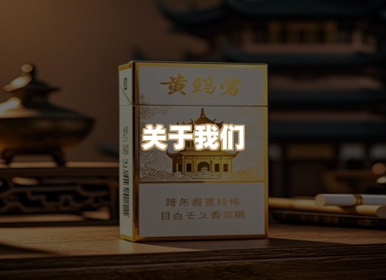 关于御龙烟网
